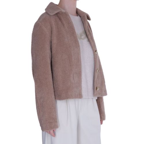 10997 rosy brow