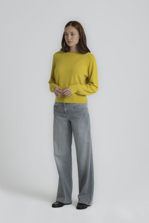 ROEZI DENIM 700 BROEK LIGHT GREY