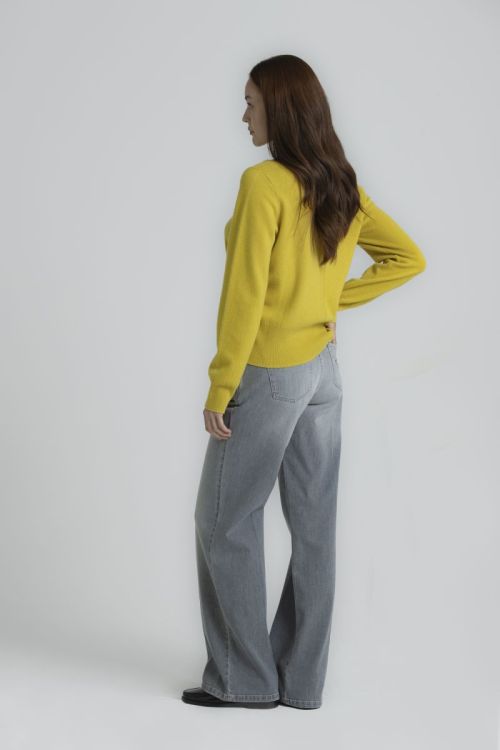 ROEZI DENIM 700 BROEK LIGHT GREY